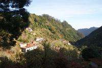 Levada Wanderung Balcoes (4)