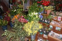 Blumen in der Markthalle
