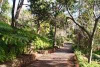 Botanischer Garten (4)