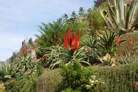 Botanischer Garten (7)