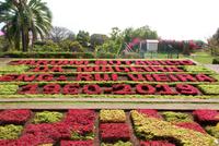 Mosaik im Botanischer Garten