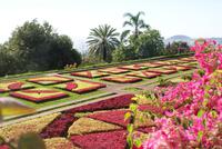 Botanischer Garten (9)