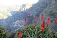 Blick ins Nonnental (2)