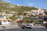Camara de Lobos
