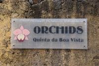 Orchideengarten