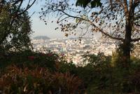 Blick auf Funchal (2)