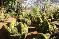 Palheiro Garden (11)