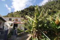 Levada Wanderung am Neujahrstag (2)