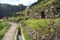 Levada Wanderung am Neujahrstag (5)