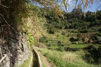 Levada Wanderung am Neujahrstag (8)