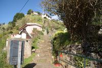 Levada Wanderung am Neujahrstag (9)