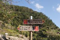 Levada Wanderung am Neujahrstag (10)