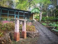 Botanischer Garten Funchal Madeira