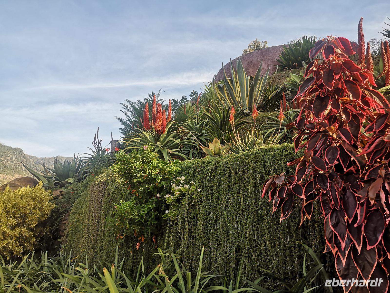 Botanischer Garten Funchal Madeira
