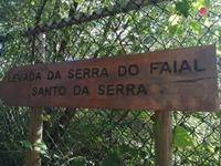 Levada Wanderung Madeira