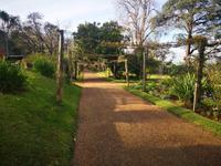 Blandy's Garten Funchal Madeira