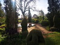 Blandy's Garten Funchal Madeira