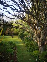 Blandy's Garten Funchal Madeira