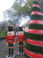 Funchal Madeira Weihnachtsmarkt