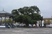 Sao Miguel - Stadtführung Ponta Delgada (30)