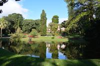 Sao Miguel - Ponta Delgada - botanischer Garten (1)