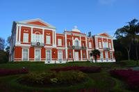 Sao Miguel - Ponta Delgada - botanischer Garten (6)