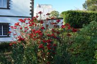 Sao Miguel - Ponta Delgada - botanischer Garten (8)