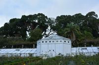 Sao Miguel - Ponta Delgada - botanischer Garten (17)