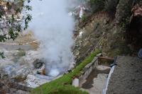 Sao Miguel - Furnas - heiße Quellen (2)