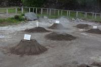 Sao Miguel - Furnas - heiße Quellen (5)