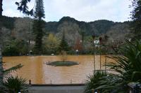 Sao Miguel - Furnas - Terra Nostra Park (1)