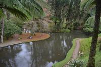 Sao Miguel - Furnas - Terra Nostra Park (2)