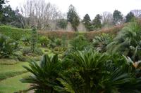 Sao Miguel - Furnas - Terra Nostra Park (4)