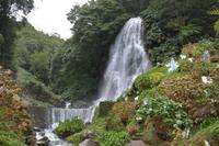 Sao Miguel - Parque Natural da Ribeira dos Caldeiroes (5)
