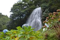 Sao Miguel - Parque Natural da Ribeira dos Caldeiroes (1)