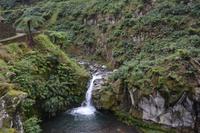 Sao Miguel - Parque Natural da Ribeira dos Caldeiroes (2)