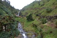 Sao Miguel - Parque Natural da Ribeira dos Caldeiroes (3)