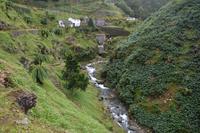 Sao Miguel - Parque Natural da Ribeira dos Caldeiroes (4)