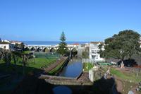 Sao Miguel - Ananasplantage (7)