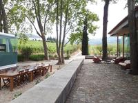 Anlage auf dem Weingut