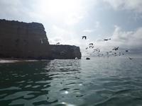 Bootsfahrt an der Algarve