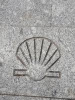 Jakobsmuschel - Pilgersymbol