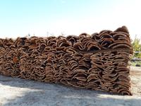 Schalen der Korkeiche