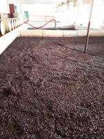 Verarbeitungsprozesse