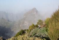Pico do Ariero (4)