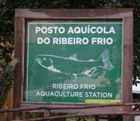 in Ribeiro Frio