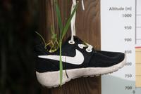 Levadawanderung (10)