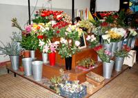 Markthalle Funchal (5)