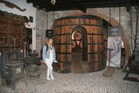 Blandy's Wine Lodge (4)