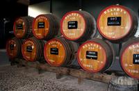 Blandy's Wine Lodge (5)